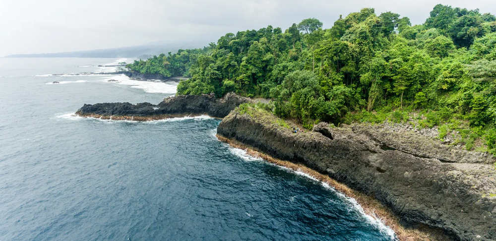 Life cover image