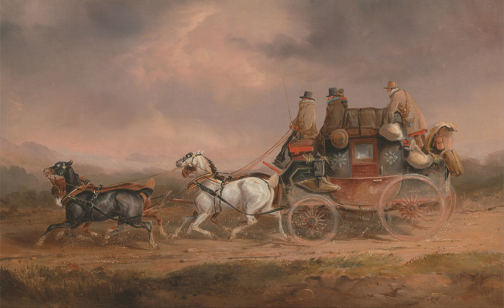 Life cover image