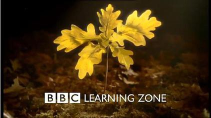 Launch of BBC Learning Zone and Restructuring