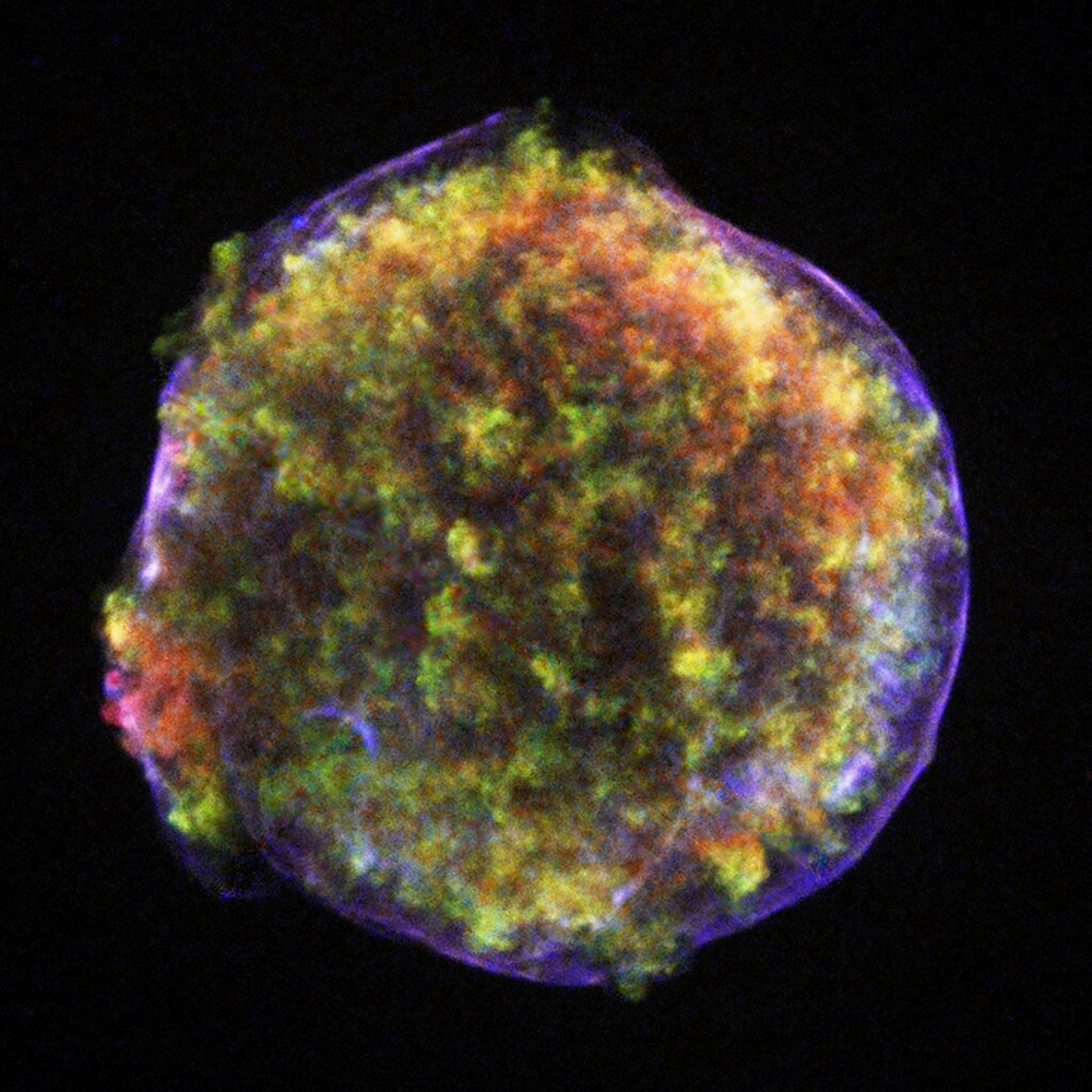 Supernova Observed in Cassiopeia