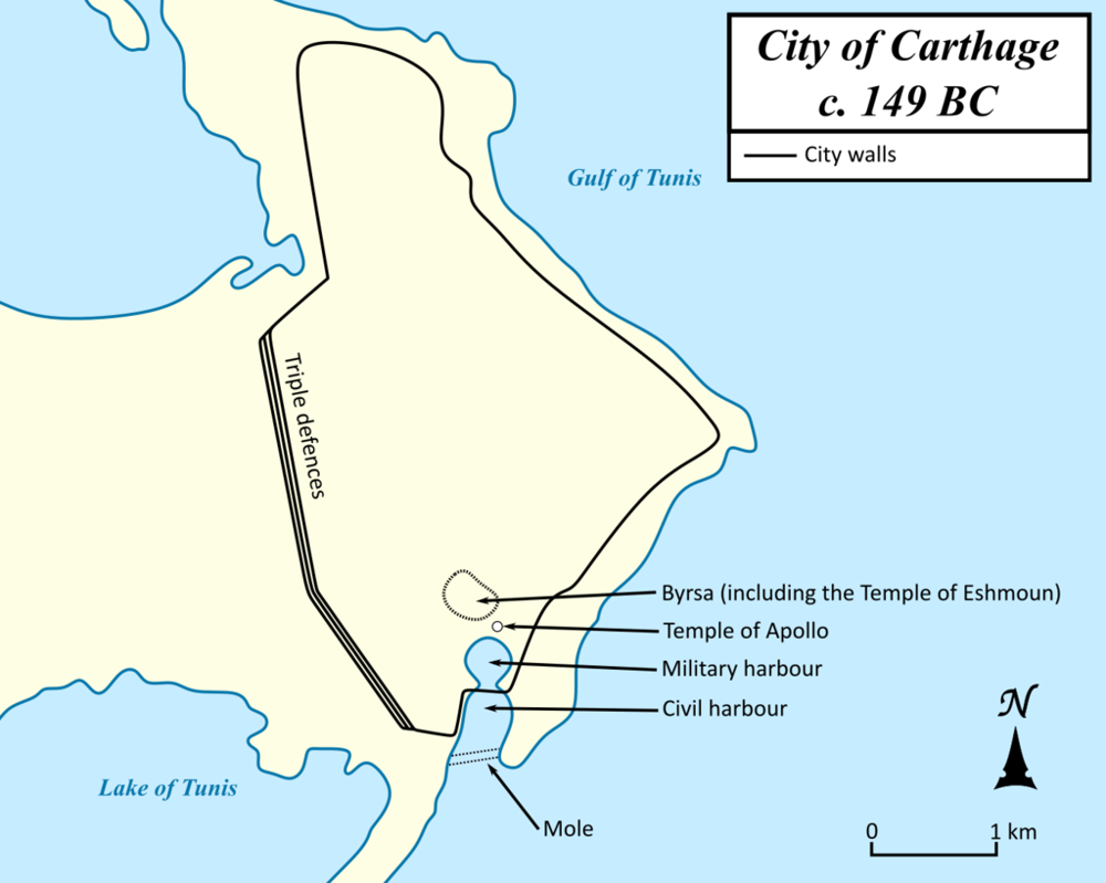 Third Punic War: Carthage's perspective