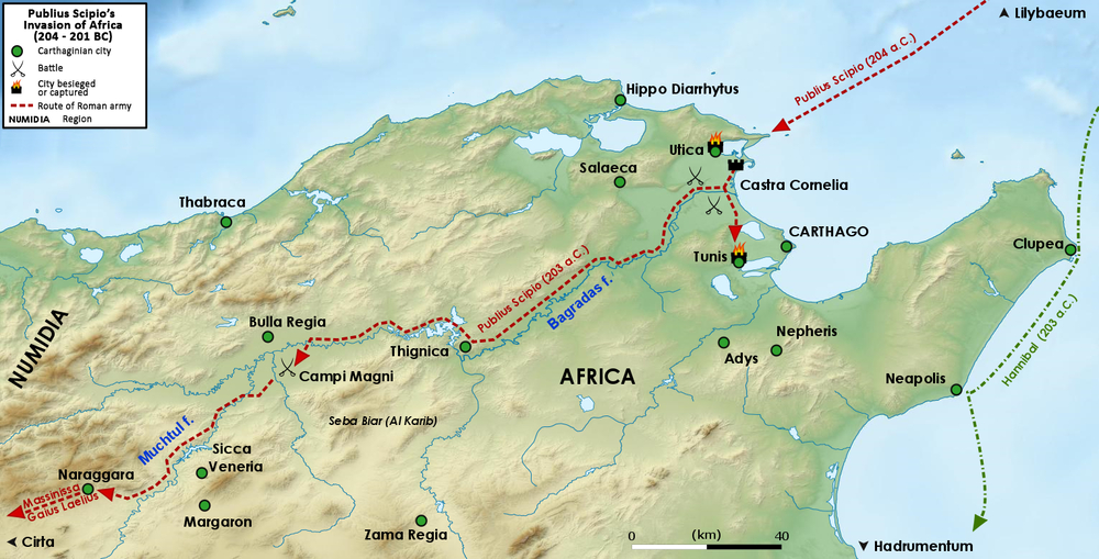 Scipio's Campaign in Africa and Victory at the Great Plains