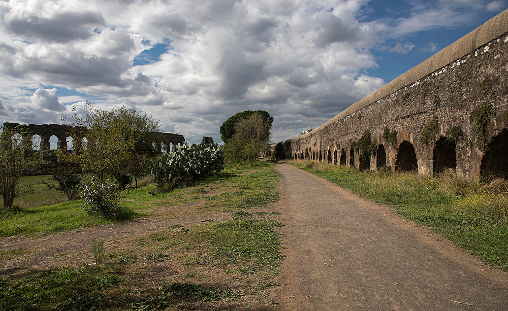 Rome's First Aqueduct and City Walls