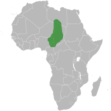 Kanem-Bornu Empire's Peak Power and Influence