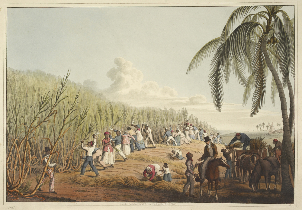 Establishment of Saint-Domingue's French Colony