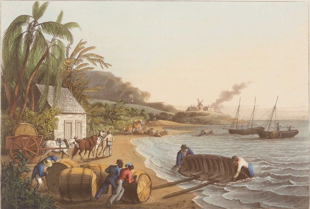 Key Sugar Production in French Empire