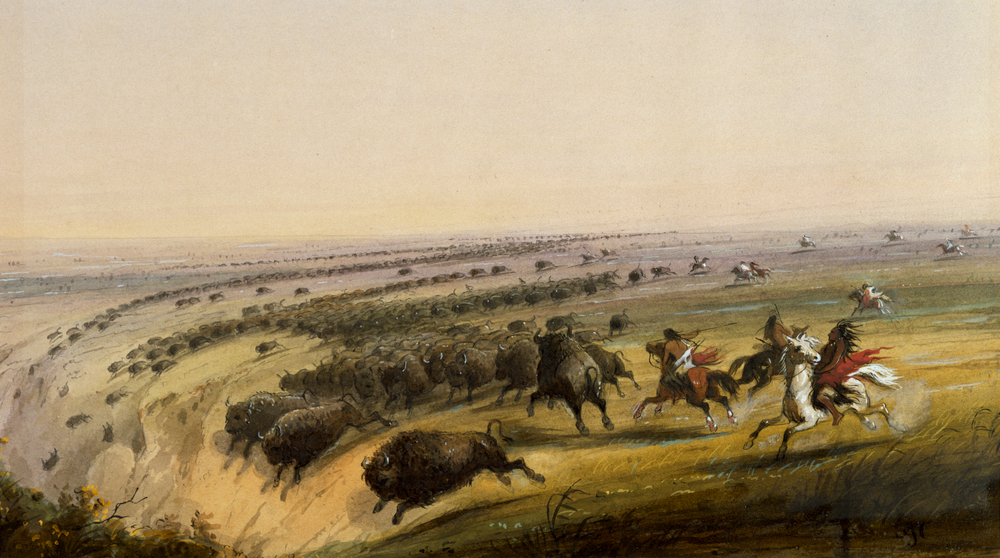 Great Plains tribes expand territories through strategic movements and alliances for power and resources.
