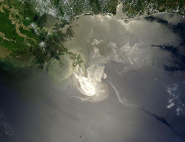 Deepwater Horizon spill in Gulf largest marine oil spill, inflicting severe environmental harm.