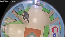 Uvalde school shooting