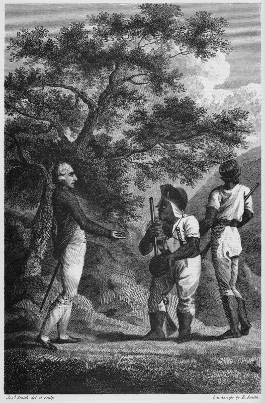 The First Maroon War: A Brief Overview