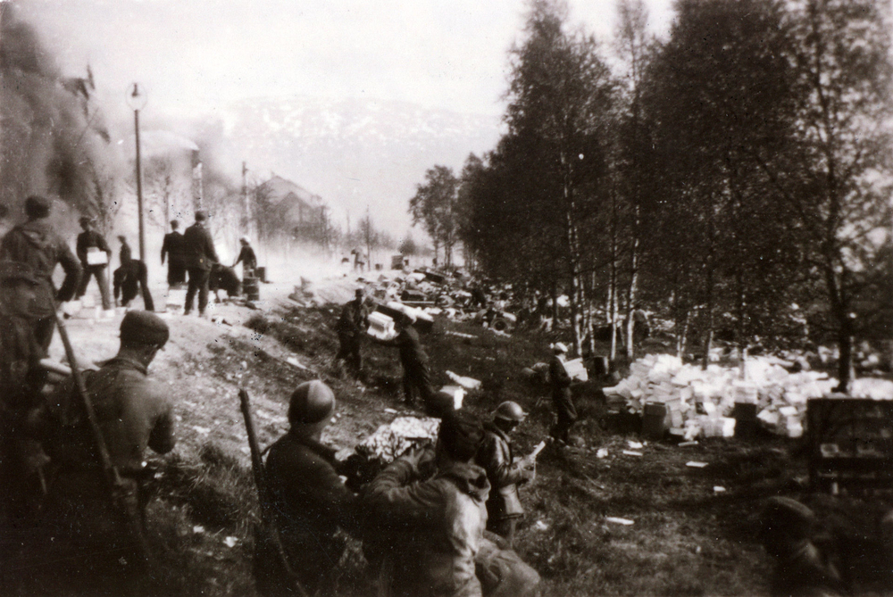 Strategic significance of Battles of Narvik in World War II's early months.