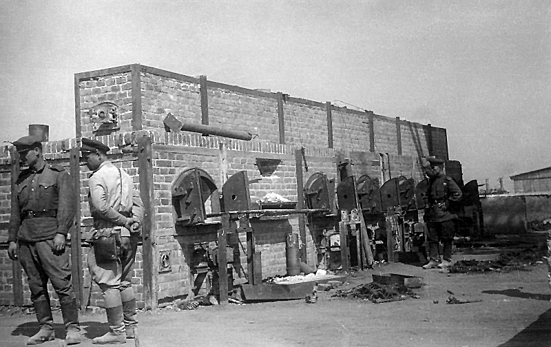 Liberation of Majdanek Concentration Camp