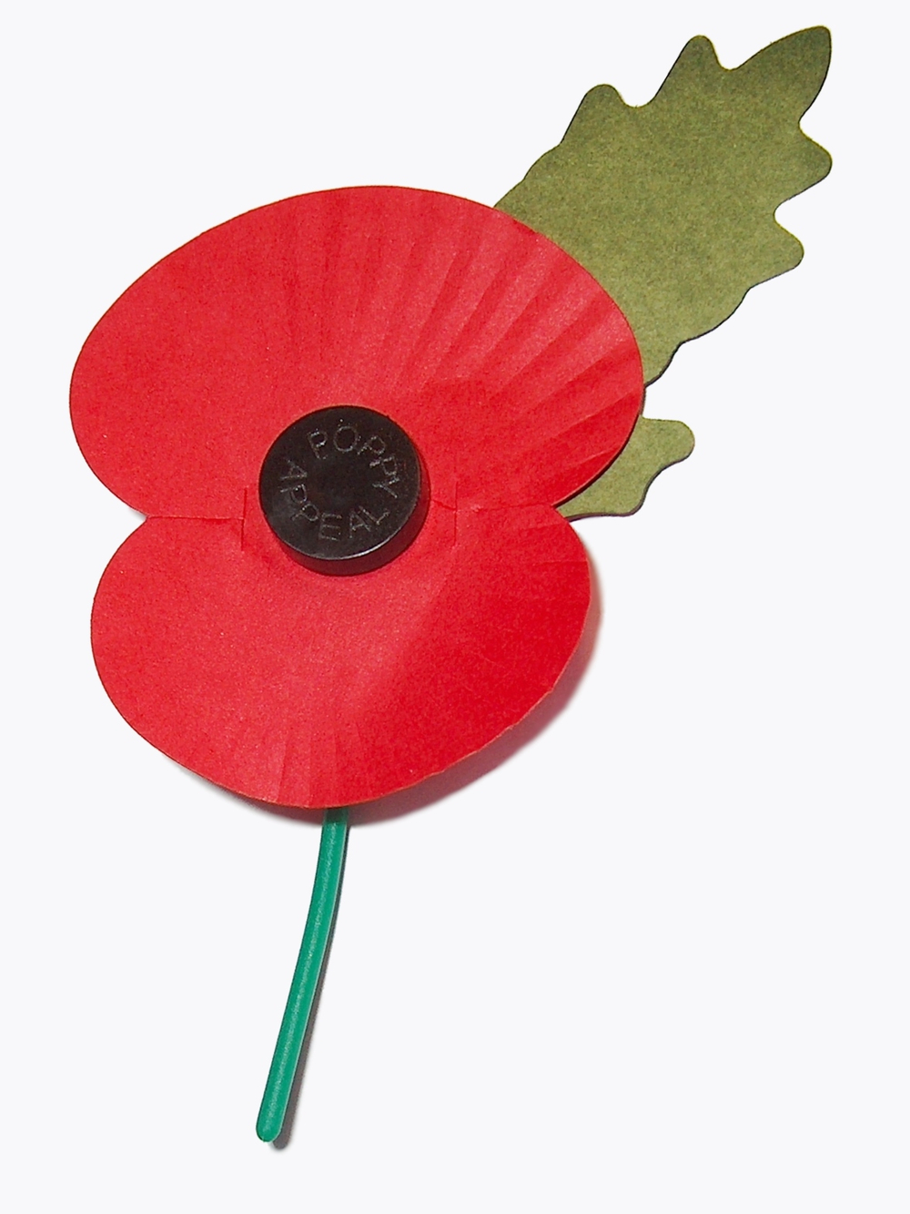 Support for British war veterans through the Royal British Legion's founding initiative.