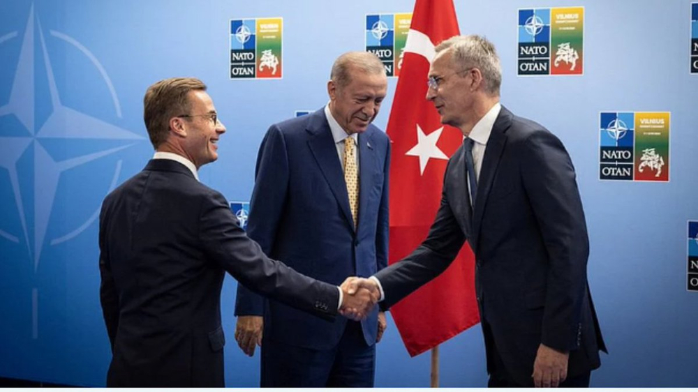 Turkey approves Sweden's NATO membership bid