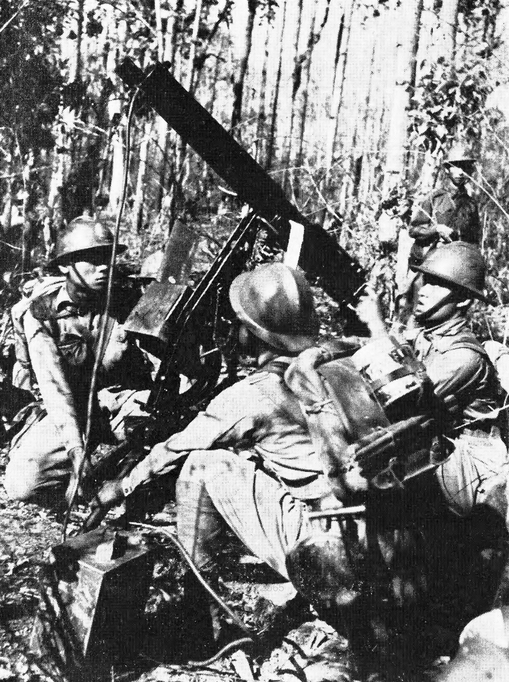 Japanese Bombing During World War II: a Historical Account