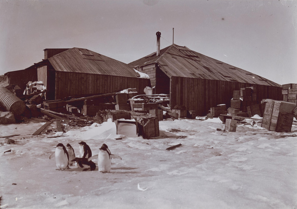 Sir Douglas Mawson's Australasian Antarctic Expedition