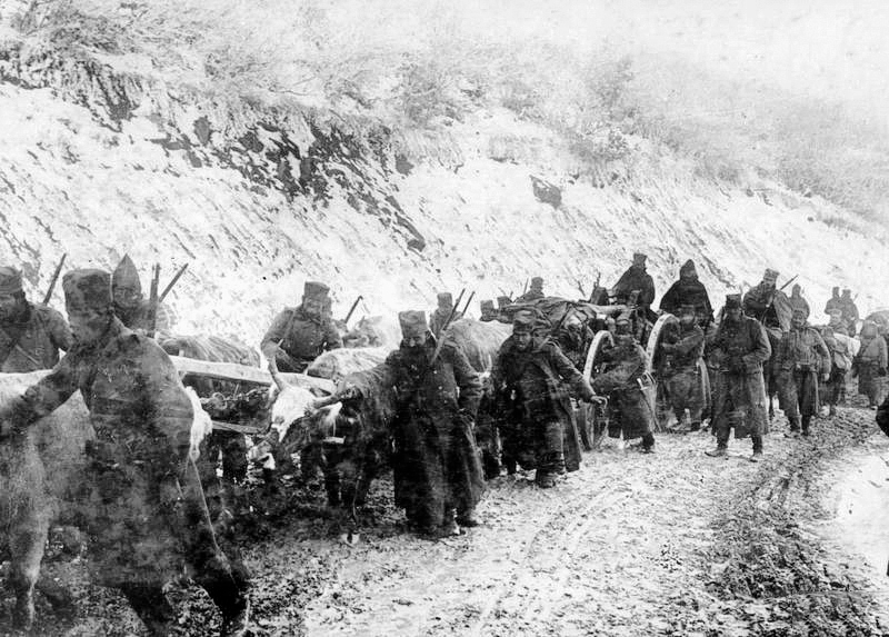 Serbian Forces Forced to Retreat, Facing Challenges and Humanitarian Crisis in WWI
