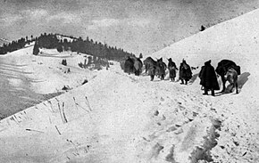 Serbian Army's Harrowing Retreat: Survival against overwhelming odds, key to WWI resistance.
