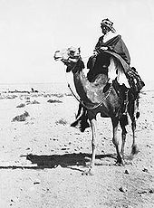 Lawrence of Arabia leads Arab forces to capture Aqaba from Ottomans, impacting World War I.