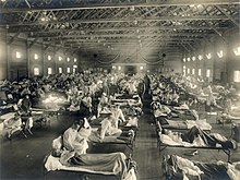 Devastating Spanish flu pandemic: origins, spread, impacts, and response efforts during global crisis.