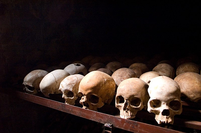The Rwandan Genocide and the Fight for Reconciliation