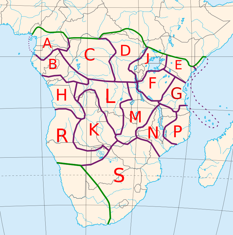 Bantu migration impacts culture and language.