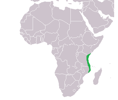 Portuguese Control of Swahili City-States