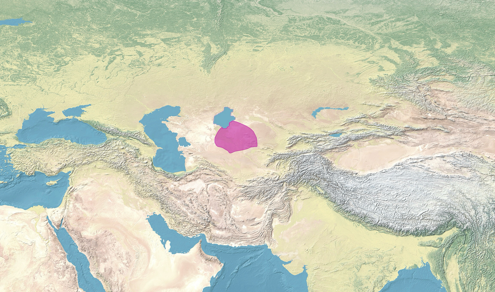 Annexation of the Khanate of Khiva by Russian Empire in 1876