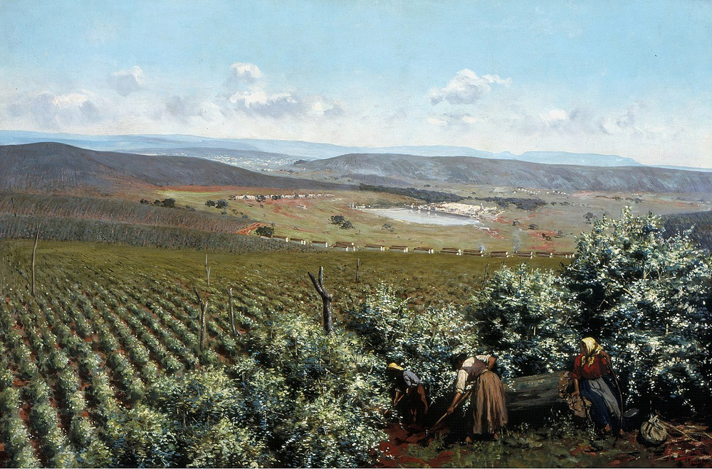 Coffee Empire Origins: Smuggled Seeds in Bouquet