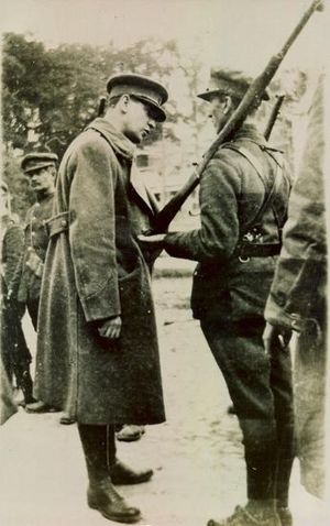 Conflict between IRA and British troops during War of Independence changed Ireland's fate.