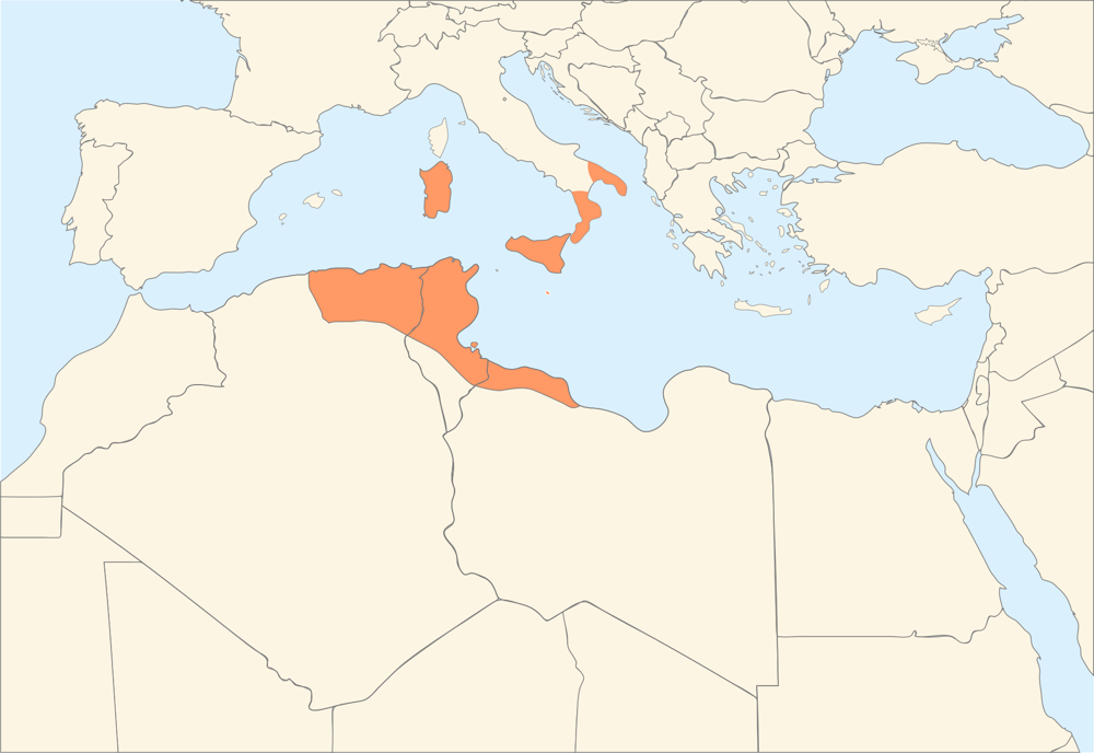Aghlabid dynasty takes power in historical Tunisia, shaping regional culture and history.