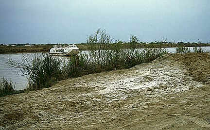 Impact of Qaraqum Canal on Cotton Production and Aral Sea Crisis.