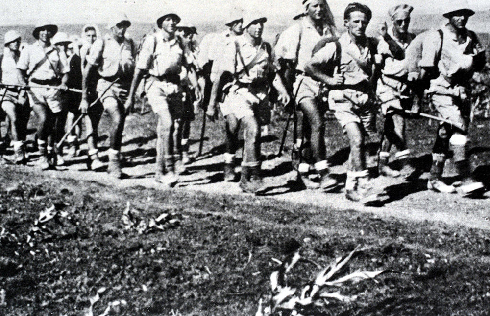 Anxiety in Yishuv and Founding of Palmach