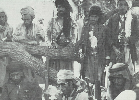North and South Yemen War