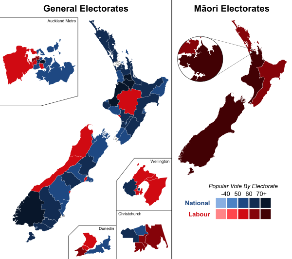 General Election Results and Outcomes