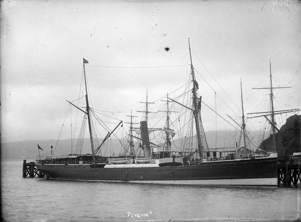 Shipwreck tragedy: SS Penguin, 75 casualties.