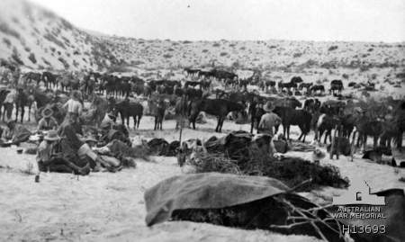 Battle of Romani: Turkish Force vs. Suez Canal Defenders