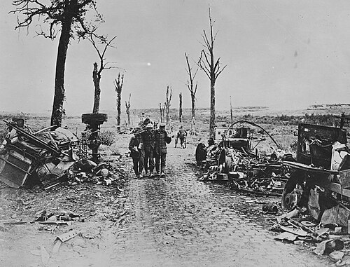 Key Role of New Zealand Division in Battle of the Somme
