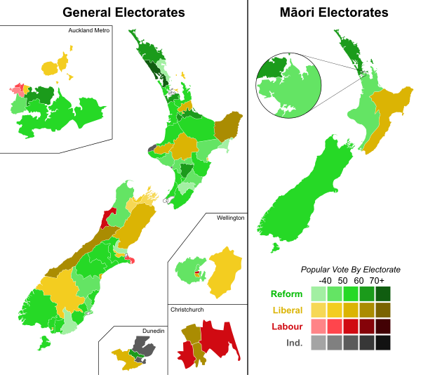 1919 General Election Overview
