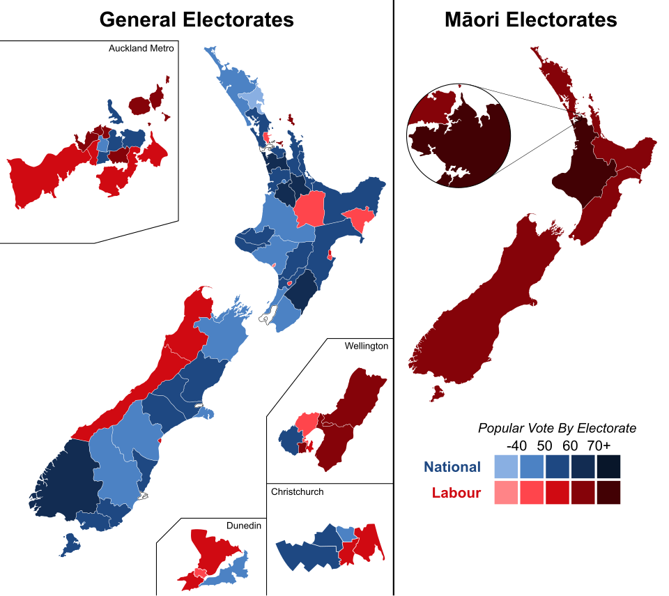 General Election Results and Controversy