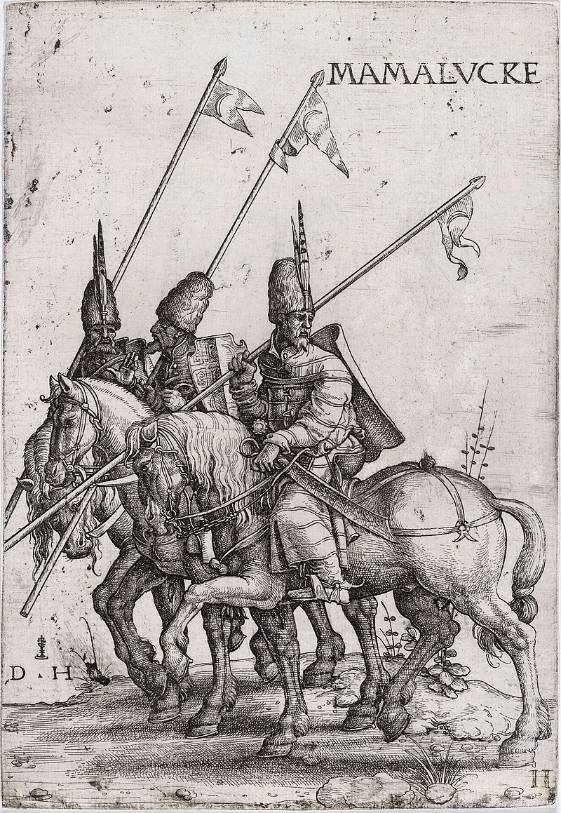 Mamluk Dynasty of Georgian Origin Ruled Iraq