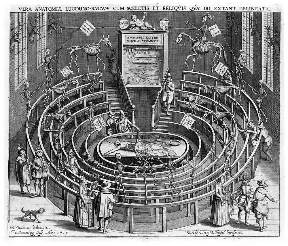 Founding of Leiden University