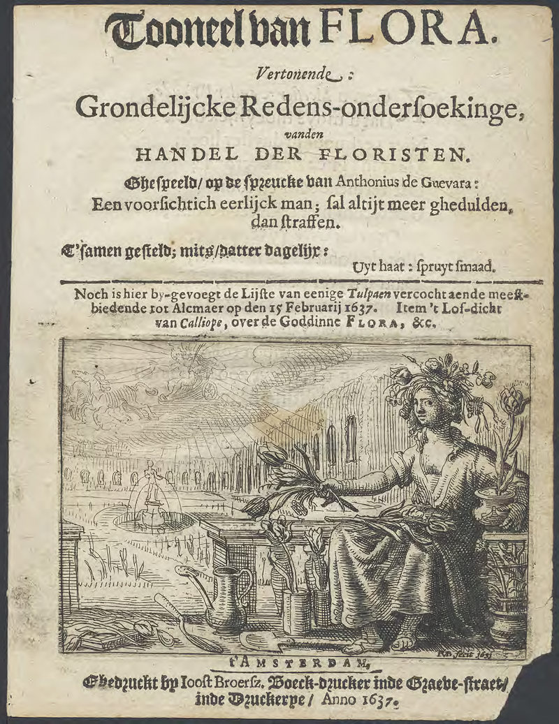The Start of Tulip Mania
