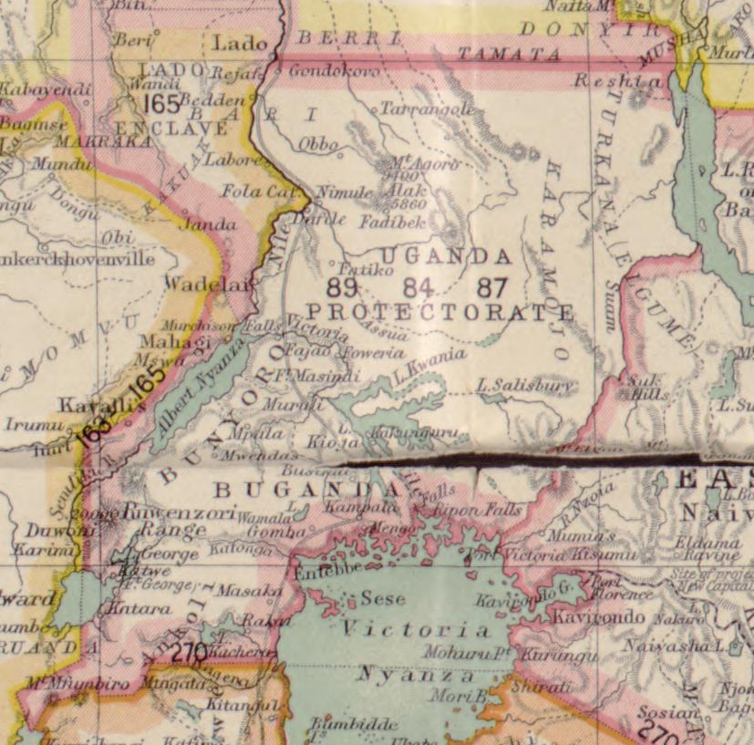 The British Establishment of Protectorate