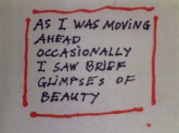 As I Was Moving Ahead Occasionally I Saw Brief Glimpses of Beauty
