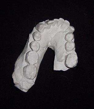 Mary Leakey and Louis Leakey discover the first Homo habilis jaw fragments (OH 7) at Olduvai Gorge, Tanzania.