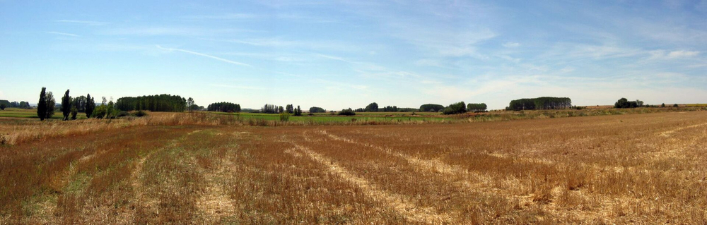 Sancho the Strong defeated Alfonso the Brave in the Battle of Llantada near Melgar de Fernamental.