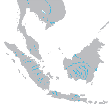 Srivijaya Kingdom Founded in Sumatra.