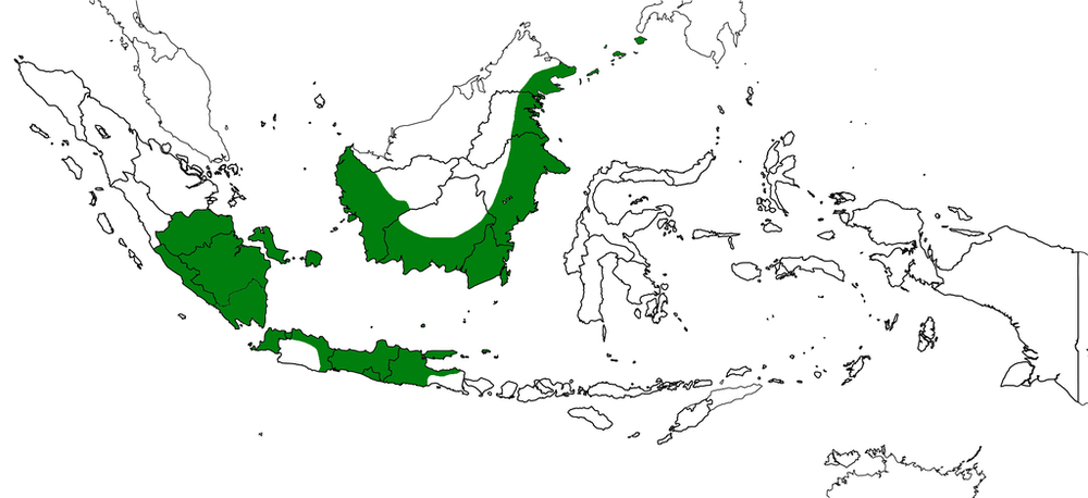 Emergence of Demak Sultanate in Java as Islamic power.
