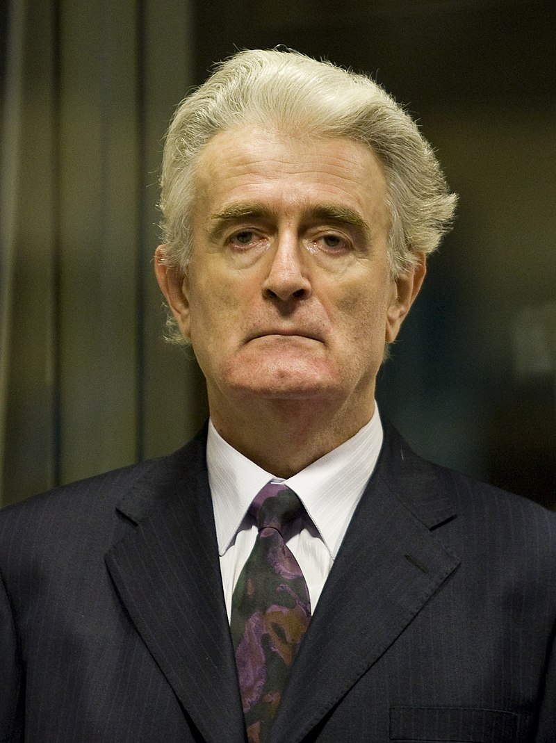 Arrest of former Bosnian leader Radovan Karadzic